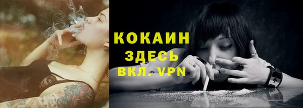 мет Медвежьегорск